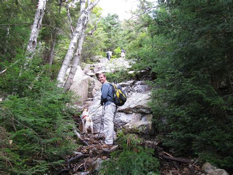 Live Free And Hike A Nh Day Hiker S Blog Mt Flume Mt Liberty My