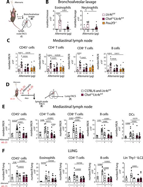 Tuft Cell Produced Cysteinyl Leukotrienes And Il 25 Synergistically