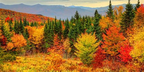 2020 Us Fall Foliage Prediction Map Shows Where When Leaves Are