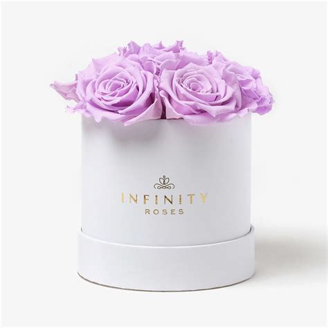 7 Lavender Preserved Roses In A Round White Box Infinity Roses