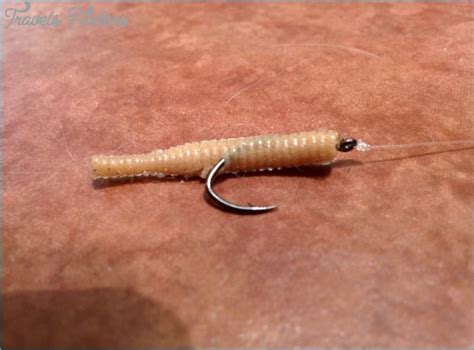 While the equipment, lure, and bait are one of the most important steps of trout fishing is setting up the proper rig. How to Set up a Spin cast pole for Trout Fishing ...
