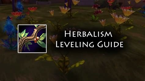 Wrath Herbalism Guide 1 450 Classic WoW Guides