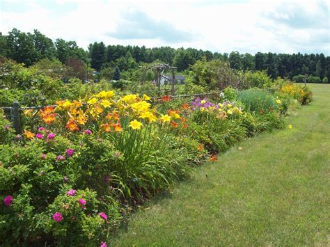 We did not find results for: Vaughan Landscaping: UVM Hortfarm Perennial Gardens July 2011