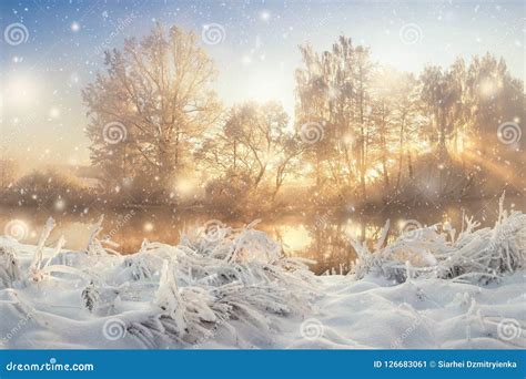 Amazing Winter Scene On Bright Morning Sunrise With Vibrant Sunrays