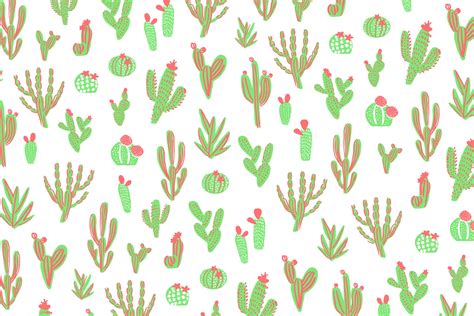 Cactus Wallpapers Top Free Cactus Backgrounds Wallpaperaccess