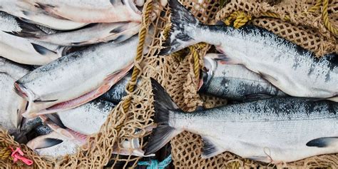 How To Eat Seafood Responsibly A Guide From Chef Eric Ripert