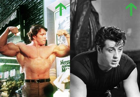 Schwarzenegger Stallone 80s Box Office Muscle Titans