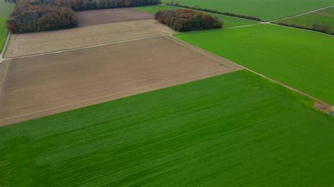 Aerial View Of A Pastures And Arable Land Panorama Over Healthy Green