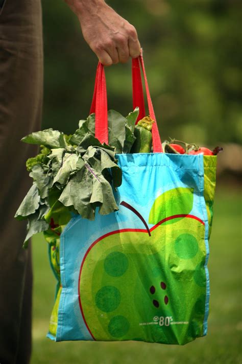 Study Finds Reusable Grocery Bags Can Harbor Dangerous Bacteria