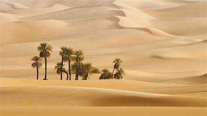 Desert Dune Palms Trees Wallpapers Dubai Palm