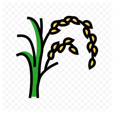 Rice Plant Icon Download In Colored Outline Style