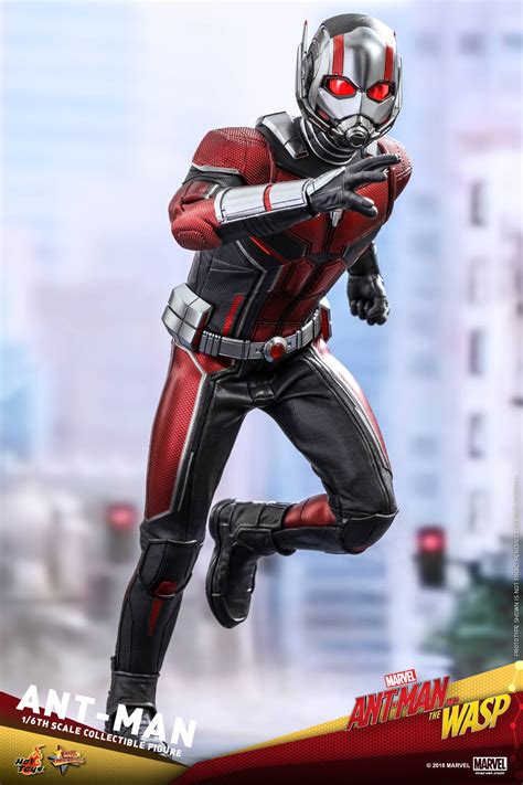 As scott lang balances being both a super hero and a father, hope van dyne and dr. Ant-Man and the Wasp Figures by Hot Toys - The Toyark - News