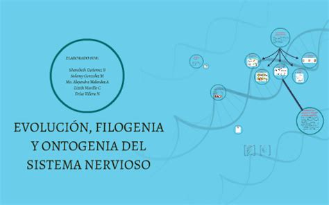 EVOLUCIÓN FILOGENIA Y ONTOGENIA DEL SISTEMA NERVIOSO by on Prezi Next