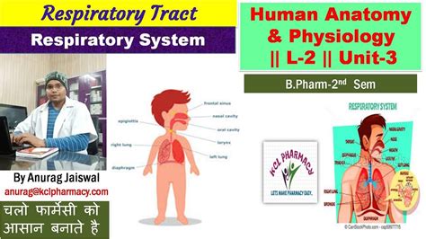 Respiration System L 2 Unit 3 Respiratory Tract Brief Information