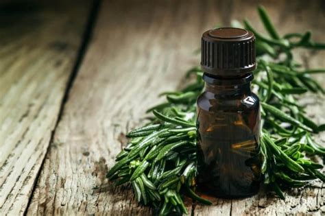 4 Obat Alami Usir Kutu di Rambut Kemaluan, Biar Enggak Garuk-Garuk