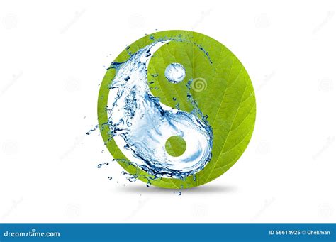 Green Yin And Yang Symbol Kurtnice