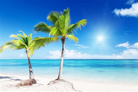 Tropical Paradise Vacation Ocean Sky Palms Sea Beach Sand