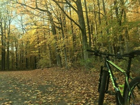 Enjoy A Spring Hike In Indiana Full Of Awe At Bendix Woods County Park