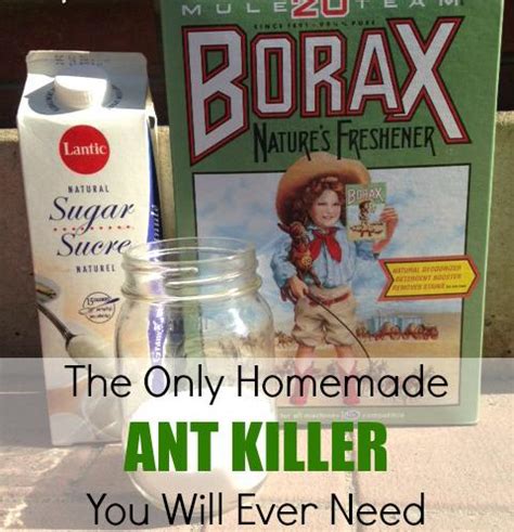 Maybe you would like to learn more about one of these? Do it yourself ideas and projects: DIY Homemade Natural Ant Killer