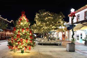 All the Best Savannah GA Christmas Lights - Savannah First-Timer's Guide