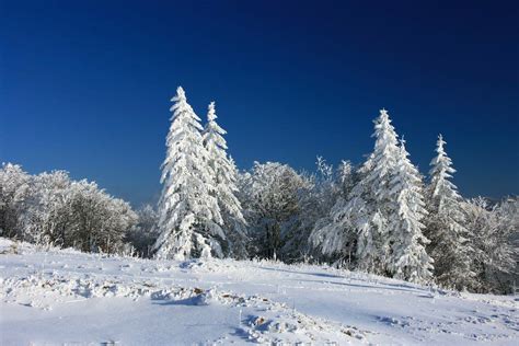 Winter Landscape : Photos, Diagrams & Topos : SummitPost