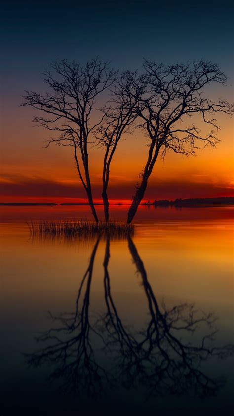 Lake Reflections Sunset Trees 1080x1920 Wallpaper Atardecer