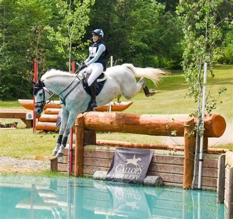 Show Jumping Equestrian