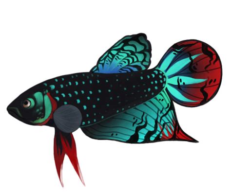Download Library of papio fish png royalty free png files Clipart Art 2019