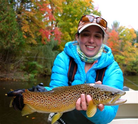 Trout Fishing In Michigan Northern Michigan Fly Fishing Brown Trout