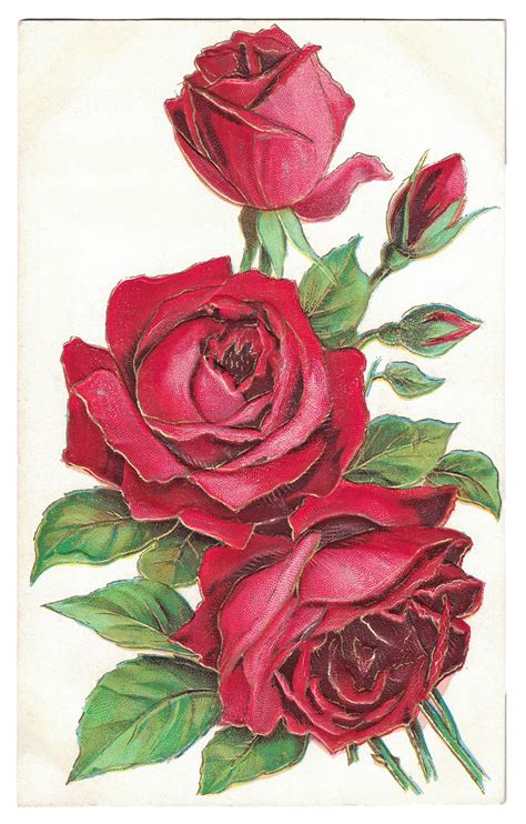 Vintage Rose Postcards Digital Collage Botanique Cards Roses Digital