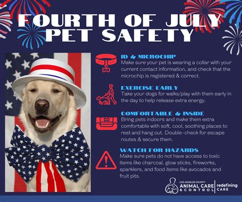 Please Keep Pets Safe And Protected This Independence Day Santa