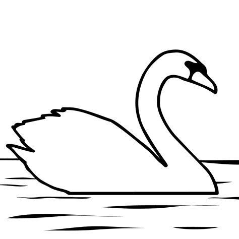 Swans Coloring Pages Coloring Kids
