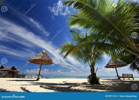 Tropical Beach Paradise Stock Image Image Of Ocean Coast 9971141