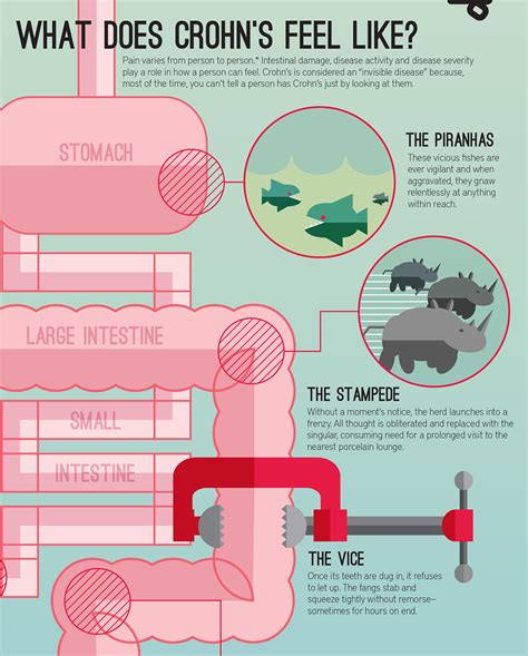 Crohns Disease An Infographic Behance Behance