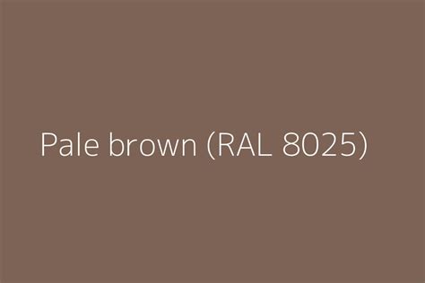 Pale Brown Ral 8025 Color Hex Code