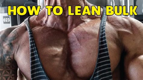 how to lean bulk melbourne personal trainer youtube