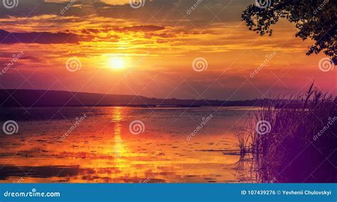 Wonderful Sunset Over The Lake Stock Photo Image Of Majestik Summer