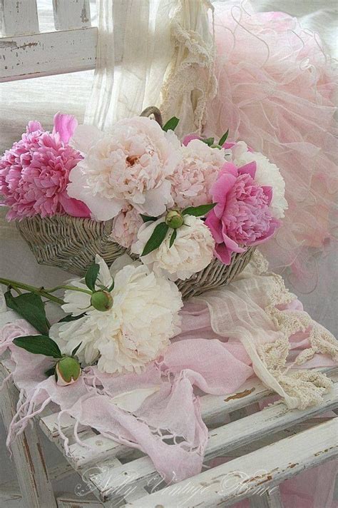 Pin By Karen Allen On Beautiful Peonies ~ Beautiful Flowers Pink
