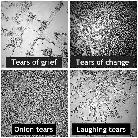 Pictures Of Tears Tlc Toni Langford Counselling