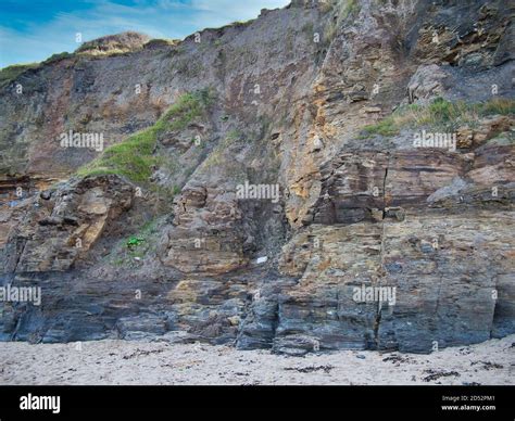Eroded Mudstone Cliffs At Runswick Bay In North Yorkshire Uk Part Of