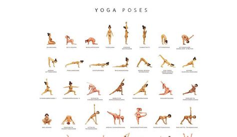 Diccionario B Sico Con Las Asanas O Posturas De Yoga Chaturanga Asana