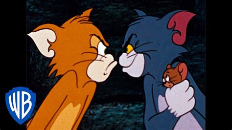 Tom And Jerry The Dog And Cat Switcharoo Classic Cartoon Compilation