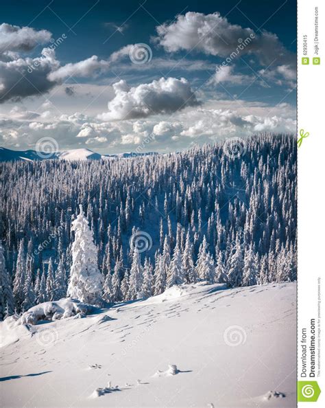 Sunny Morning Scene In Winter Mountain Stock Photo