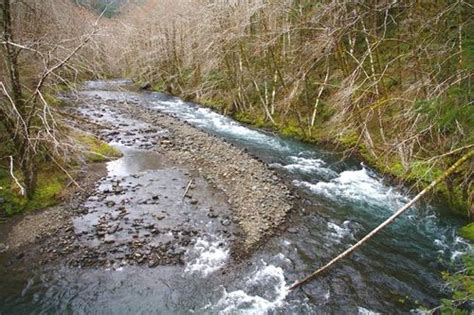 Wilson River Traverse Hike Hiking In Portland Oregon And Washington