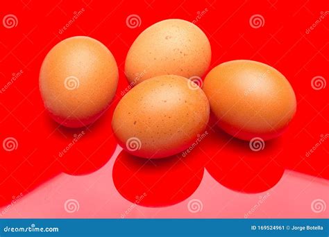 Chicken Eggs Raw Eggs Freshly Picked From The Farm Stock Image Image