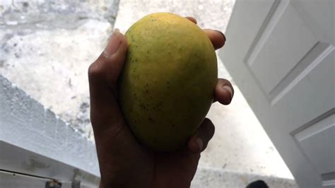 Sweetest Mango On Earth Youtube