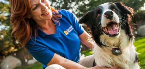 Invisible dog fence installation keeps your dog safe. Invisible Fence Brand - The Invisible Fence® Brand