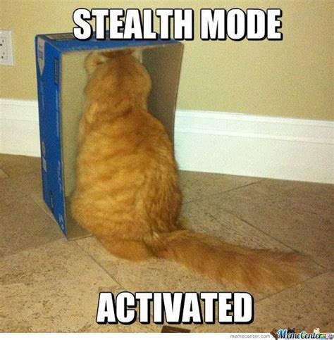 Stealth Mode Activated With Images Funny Animal
