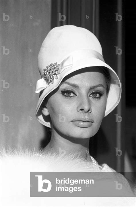 Sophia Loren With A White Hat And A Fur Scarf 1960 Photo