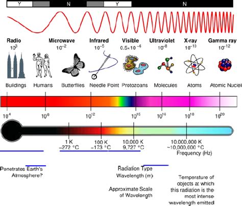 Gelombang radio adalah satu bentuk dari radiasi elektromagnetik, dan terbentuk ketika objek bermuatan listrik dari gelombang osilator (gelombang pembawa) dimodulasi dengan gelombang. Live for all Knowledge: spektrum gelombang mikro